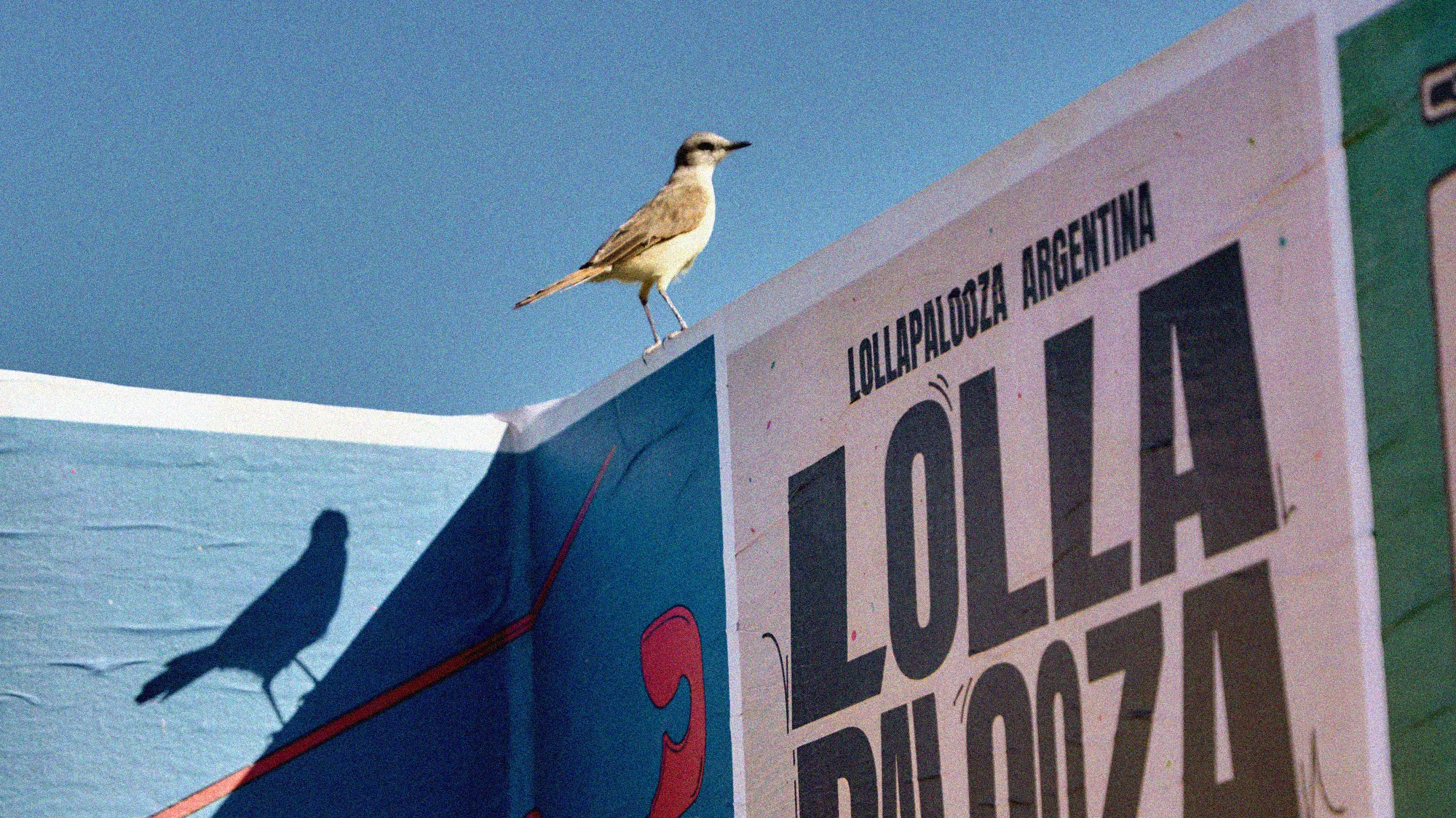 Lollapalooza. Posters & Banderas (El Archivo)