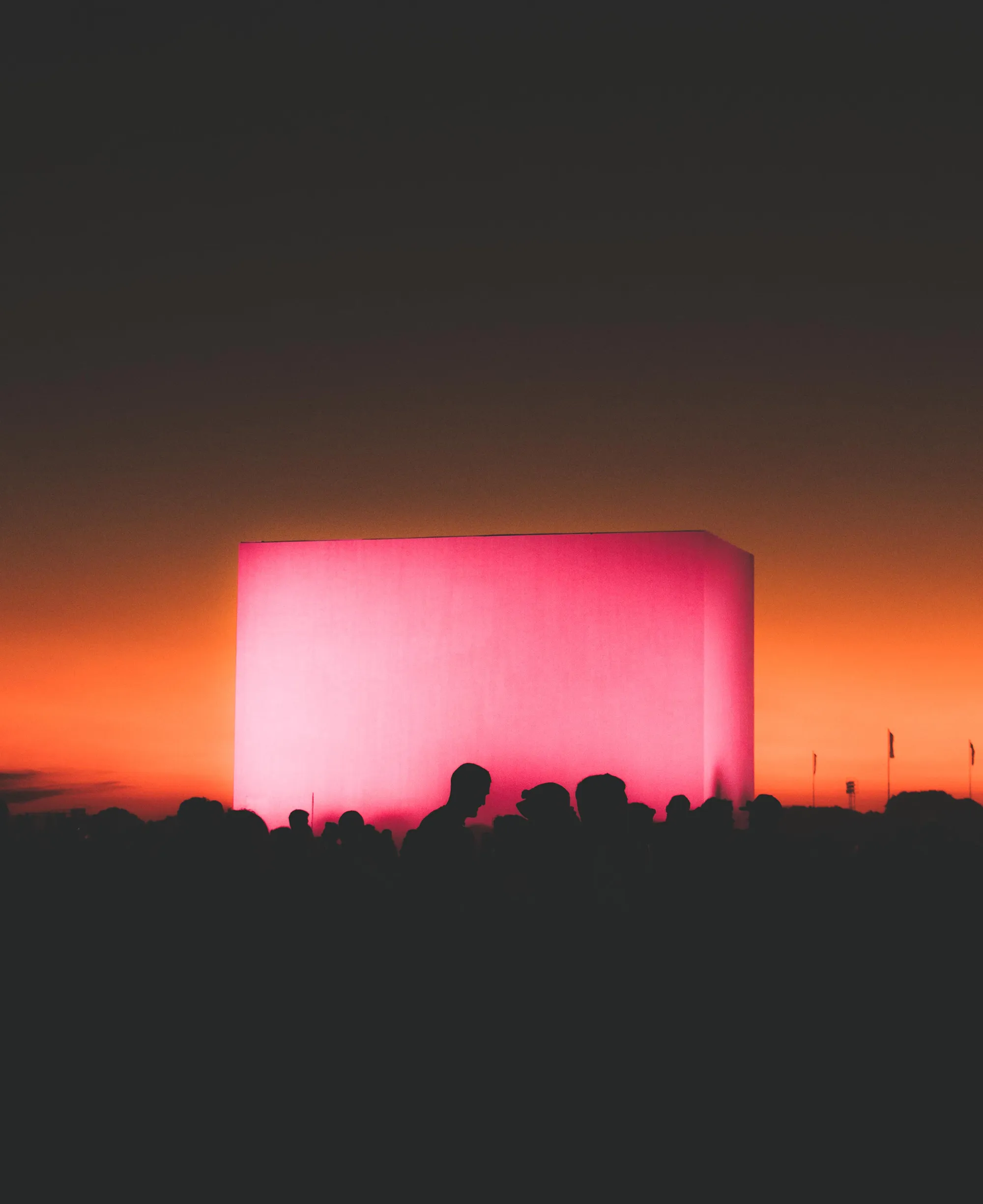 Lollapalooza. Look & Feel (The Archive 2014/1016)